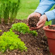 GARDEN VOCABULARY