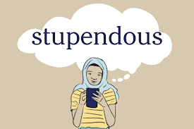 IELTS VOCABULARY