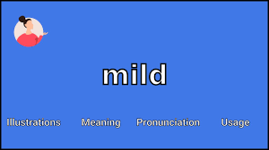WEATHER VOCABULARY