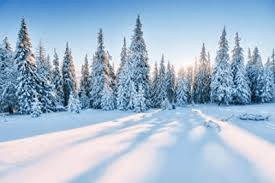 WEATHER VOCABULARY