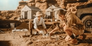 HISTORY VOCABULARY 7 HISTORY VOCABULARY