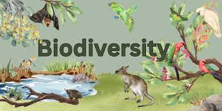 ANIMALS VOCABULARY