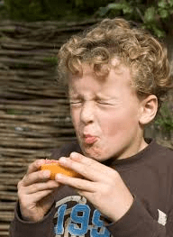 TASTE VOCABULARY