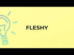 VOCABULARY TO DESCRIBE FRUITS 8 VOCABULARY TO DESCRIBE FRUITS