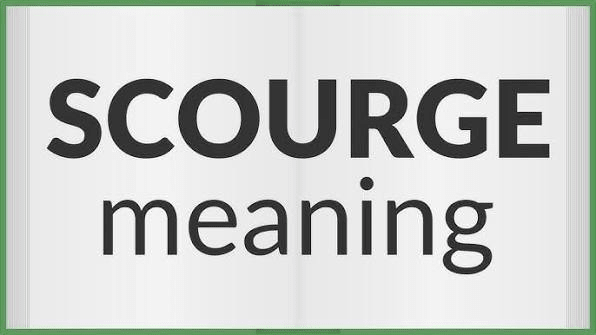 IELTS VOCABULARY