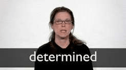 IELTS VOCABULARY