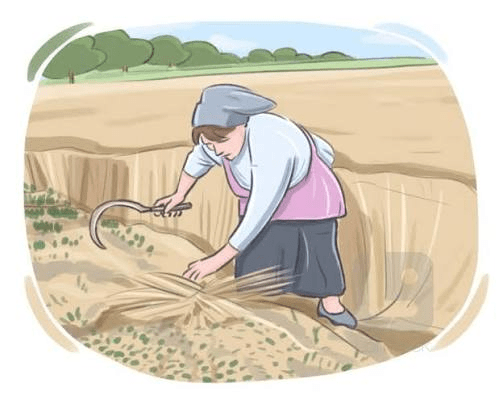 AGRICULTURE VOCABULARY