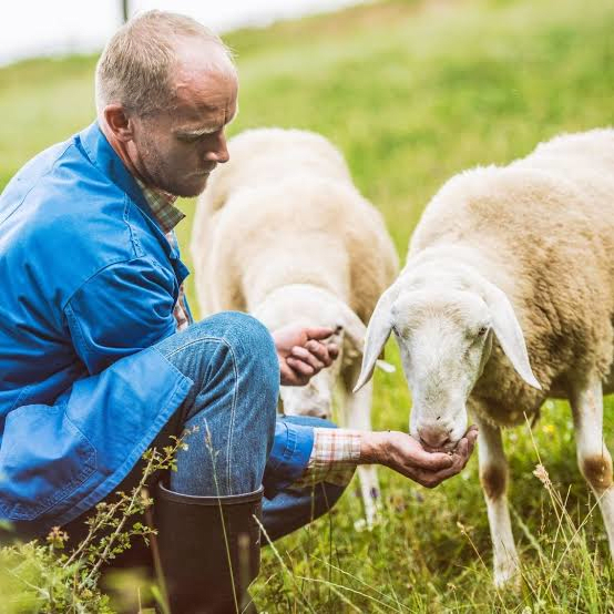 AGRICULTURE VOCABULARY