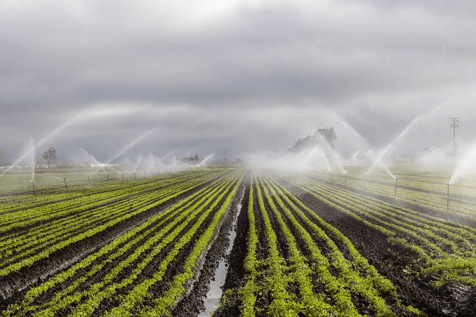 AGRICULTURE VOCABULARY