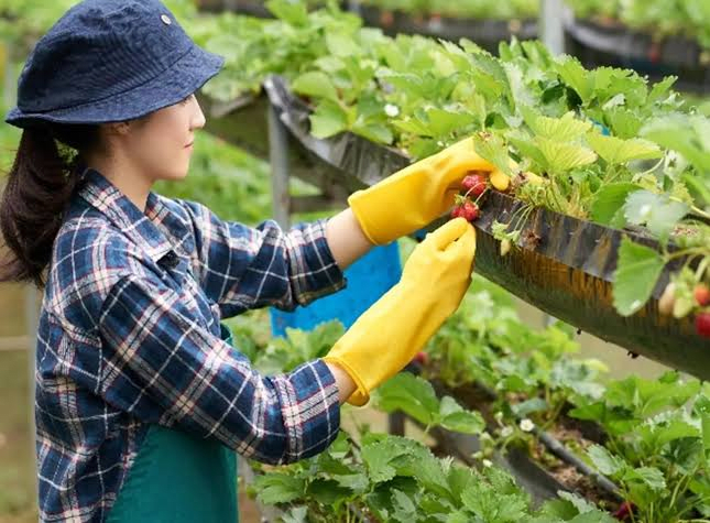 AGRICULTURE VOCABULARY
