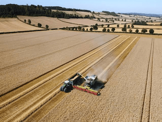 AGRICULTURE VOCABULARY