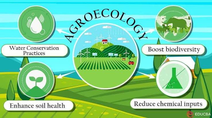 AGRICULTURE VOCABULARY
