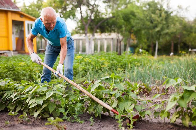 AGRICULTURE VOCABULARY
