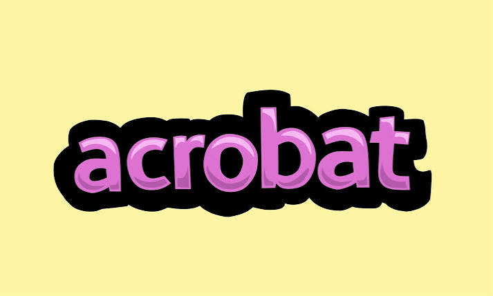 CIRCUS VOCABULARY